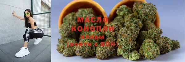 индика Нязепетровск