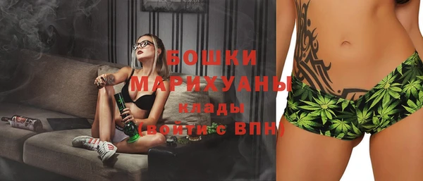мдпв Богородицк