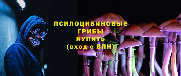 мдпв Богородицк