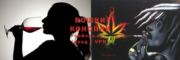 мдпв Богородицк