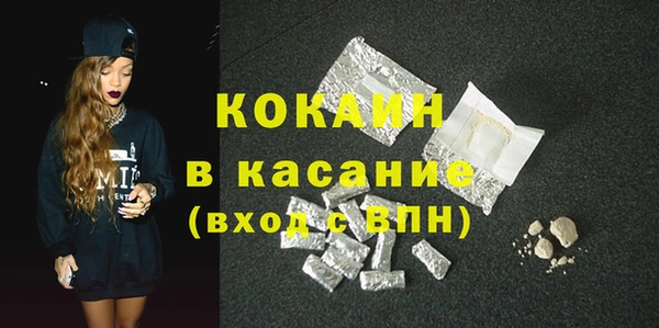 мдпв Богородицк