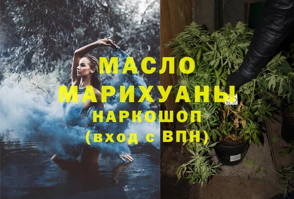 индика Нязепетровск