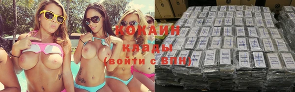 мдпв Богородицк